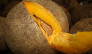 Mammee Apple Fruit Cut Open Wallpaper