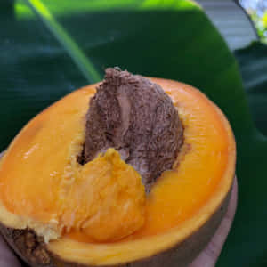 Mammee Fruit Halfon Leaf Wallpaper
