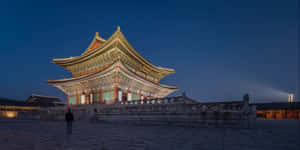 Man At The Gyeongbokgung Palace Wallpaper