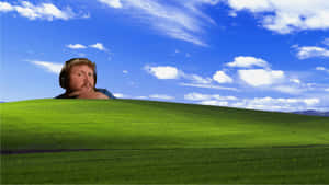 Man Daydreaming In Green Field Wallpaper