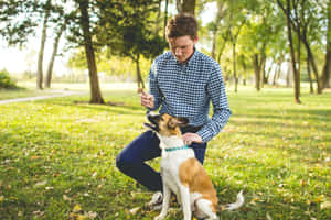 Man Dog Training Session Outdoors Wallpaper