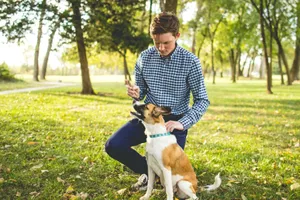 Man Dog Training Session Outdoors Wallpaper
