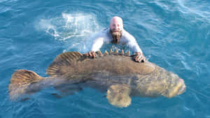 Man Holding Giant Grouperat Sea Wallpaper