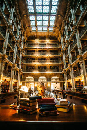 Man In Library Studying Wallpaper