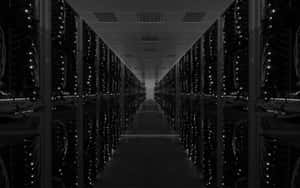 Manage Your Data Efficiently Wallpaper