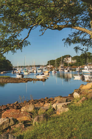 Manchester By The Sea Marina Summer View Wallpaper