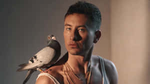 Manwith Pigeon Portrait Wallpaper