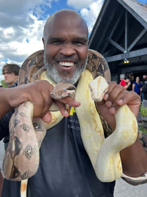 Manwith Pythonand Boa Constrictor Wallpaper