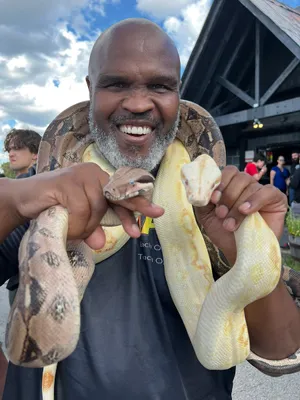 Manwith Pythonand Boa Constrictor Wallpaper