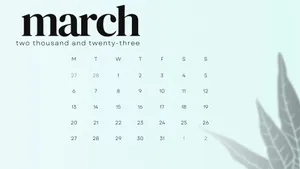 March 2023 Calendar On White Background Wallpaper