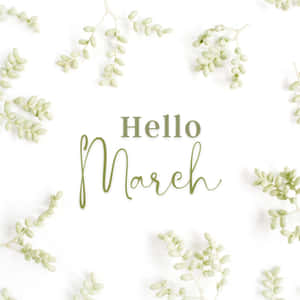 March - Welcome The Time Of New Beginnings Wallpaper