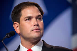 Marco Rubio Serious Wallpaper