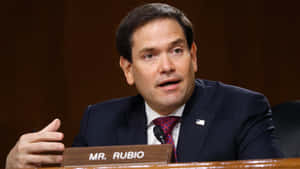 Marco Rubio Talking Wallpaper