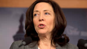 Maria Cantwell Close-up Photo Wallpaper