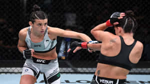 Marina Rodriguez Fights Lemos Wallpaper