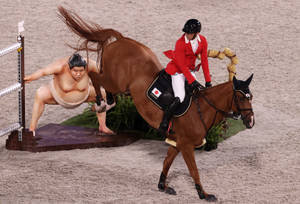 Mario Deslauriers Canadian Equestrian Jumper Wallpaper