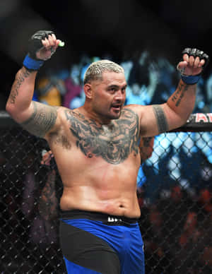 Mark Hunt Raising Arm Wallpaper