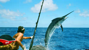 Marlin Leaping At Sea Wallpaper