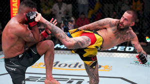 Marlon Vera Kicking Rob Font Wallpaper