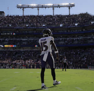 Marquise Brown Football Player Stadium Backdrop Wallpaper