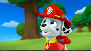 Marshall Paw Patrol Fire Pup Wallpaper