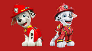 Marshall Paw Patrol Fire Pup Wallpaper