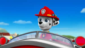 Marshall Paw Patrol Fire Pup On Duty Wallpaper
