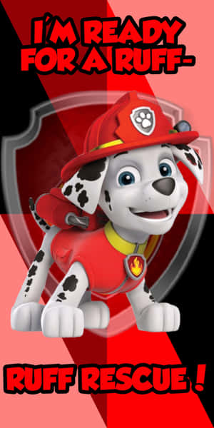 Marshall Ready For Rescue Paw Patrol Wallpaper