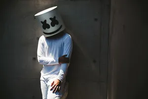 Marshmello On A Mellow Wall Wallpaper