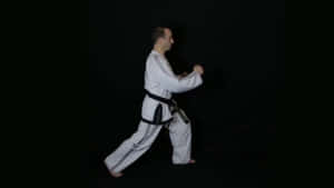 Martial Artists In Action Wallpaper