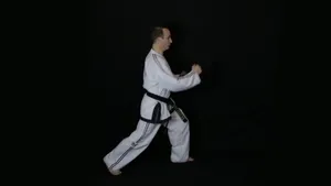 Martial Artists In Action Wallpaper