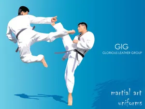 Martial Artists In Action Wearing Their Traditional Uniforms Wallpaper