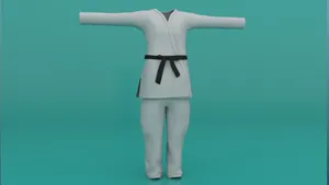 Martial Arts Master In A Traditional Uniform Wallpaper