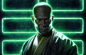 Martial Arts Practitioners In Action Wallpaper