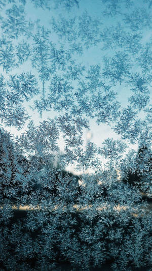 Marvel At The Intricate Beauty Of A Snowflake Falling Outside Your Window Captured From Your Cutting Edge Snowflake Iphone Wallpaper