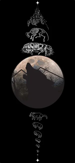 Marvel At The Magnificent New Iphone 14 Plus Wallpaper