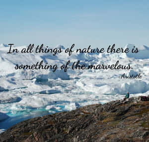 Marvelous_ Nature_ Quote_ Aristotle Wallpaper