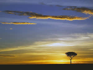 Masai Mara National Reserve Wallpaper