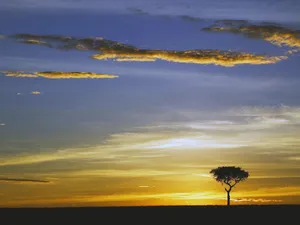 Masai Mara National Reserve Wallpaper