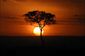 Masai Mara National Reserve At Sunset Wallpaper