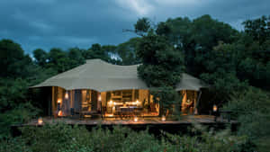 Masai Mara Plains Camp Wallpaper