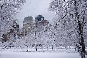 Massachusetts In Winter Wallpaper