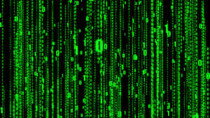 Master The Mysteries Of Matrix Code Wallpaper