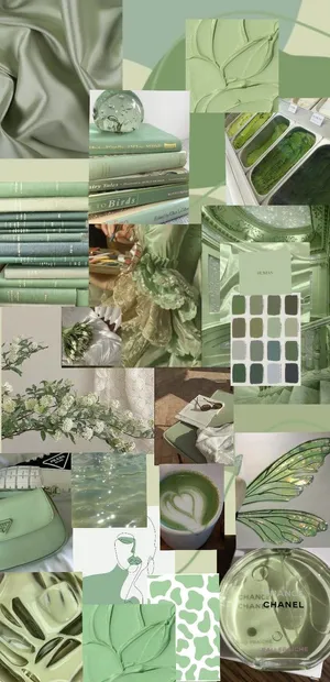 Matcha Inspired Aesthetic Collage.jpg Wallpaper