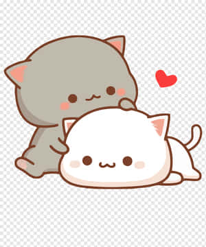 Matching Cat Pfp Pacify Wallpaper