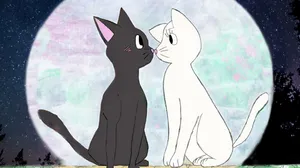 Matching Cat Pfp Sailor Moon Wallpaper