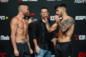 Matheus Nicolau Face Off With Tim Elliott Wallpaper