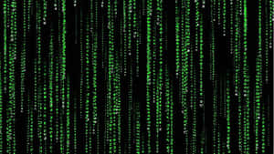 Matrix Digital Rain Code Background Wallpaper