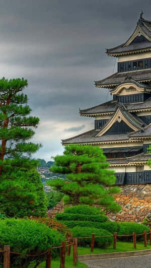 Matsumoto Castle Japan Wallpaper