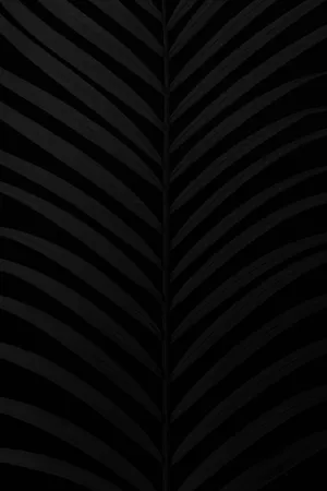 Matte Black Texture Background Wallpaper